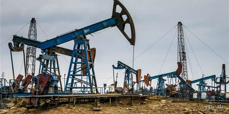 قرار جمهوري ينشر ترخيصًا جديدًا للتنقيب عن البترول في شرق الأبيض بالصحراء الغربية