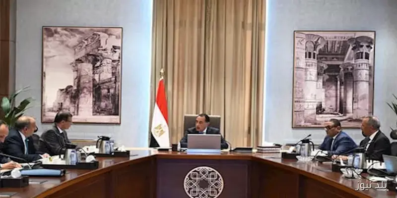 مدبولي يوجه بإعداد رؤية شاملة لإنتاج البذور والتقاوي من أجل تعزيز الإنتاجية