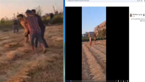 مزارع ونجله في الدقهلية يتعرضان للاحتجاز بعد مشاجرة بسبب خلافات الجيرة