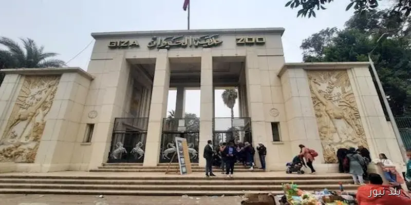 مصدر يؤكد الموعد النهائي لافتتاح حديقة الحيوان بالجيزة المنتظرة