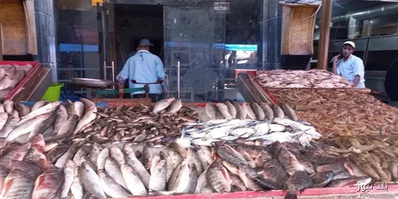 نظر استئناف المتهمين بقتل بائع جمبري في سوق العبور